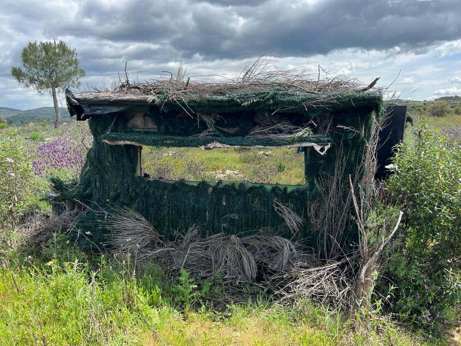 Dynamic Content Image