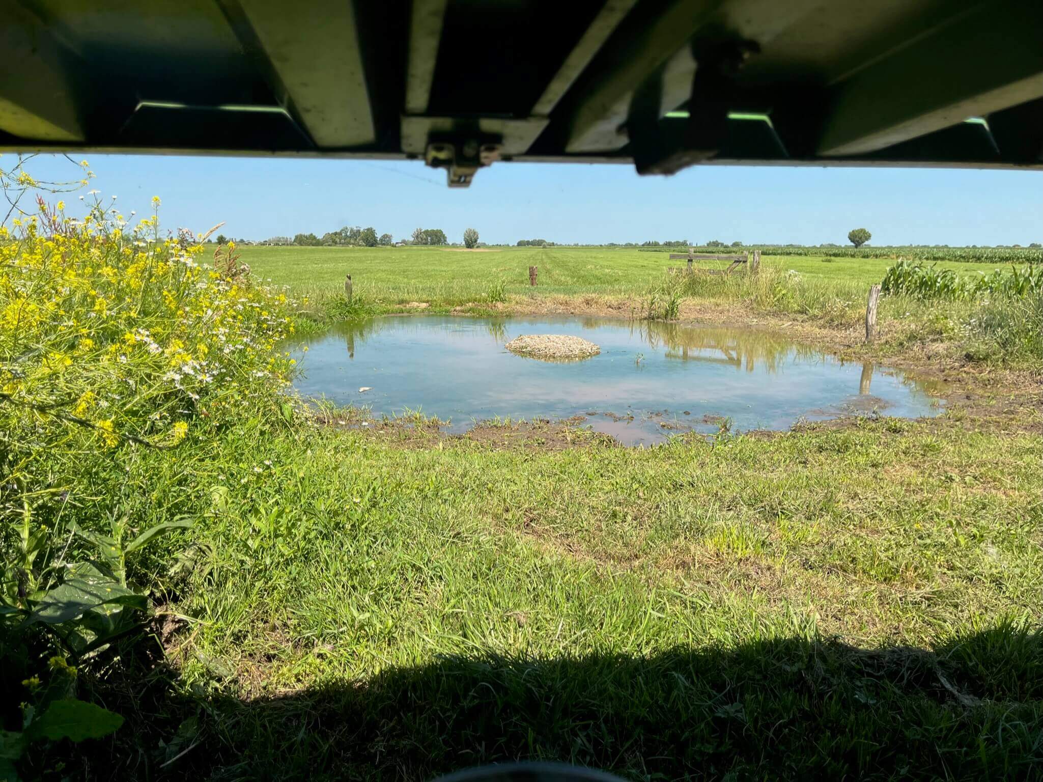 Dynamic Content Image