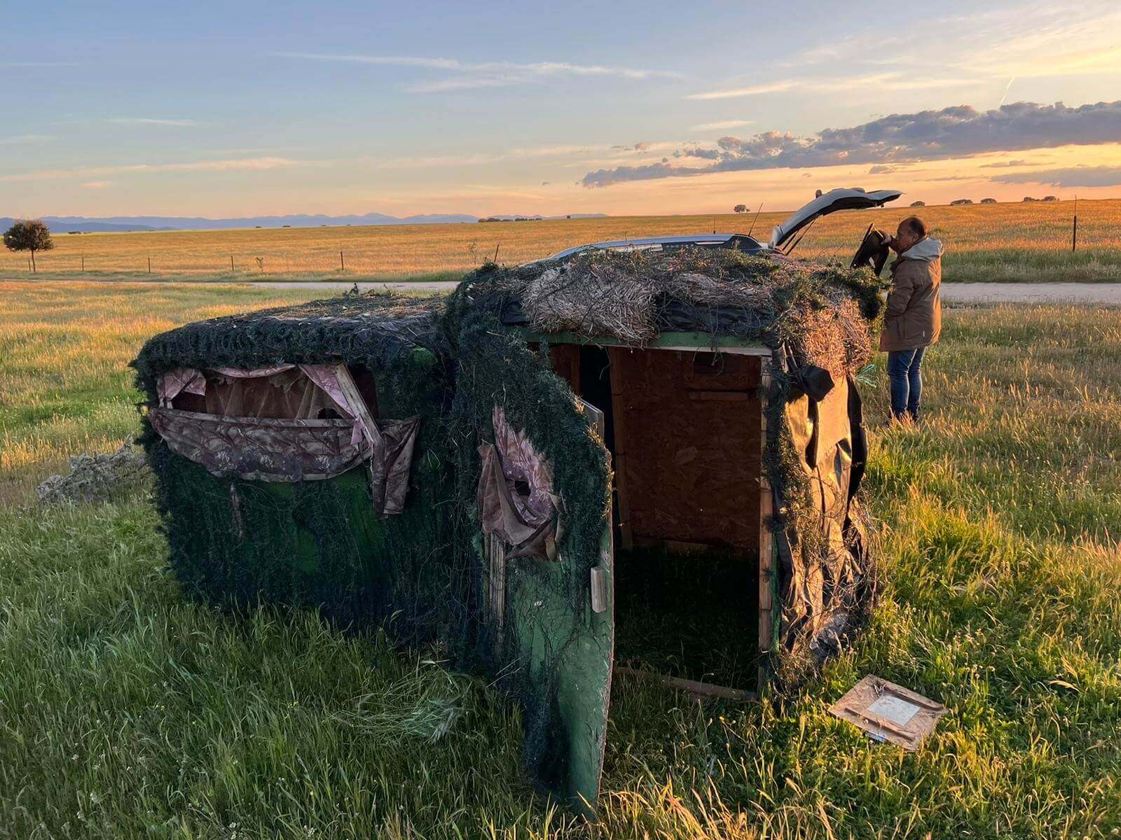 This image for Image Layouts addon