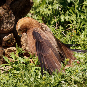 166323bd-5c0f-44f9-aa59-0d3249fadfd8