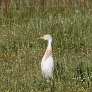 401385d3-f3d7-4b8d-98fa-371b032c9d1b