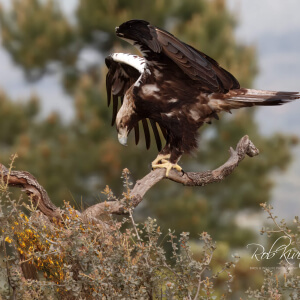 4a948532-33c2-4771-a71a-d35a65e4189a