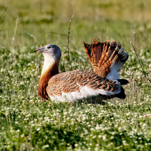 540b50c7-c1c1-4d15-880b-82e54644cffa