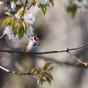 5849f87d-47cf-40b7-ab17-96e9385cfa5a