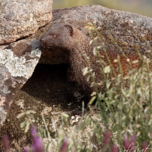 607d302d-53f1-44a3-ac1d-ec5921e067fe