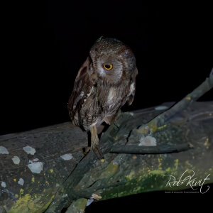 62100705-3bdc-4e1d-a0ba-abee44832a79