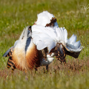 6a6b6d33-be09-4433-b205-d6c8eacb84ec