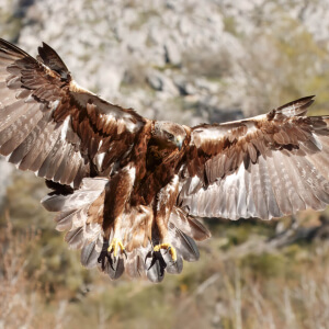 7537b89f-e282-464c-98ab-bd58281c1d2e