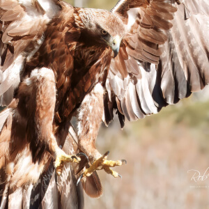 7c9e860b-d4cb-4cdb-aa93-b9858b444188