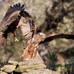 7d2f4e2d-b7df-488e-8205-69fae60a1fd9