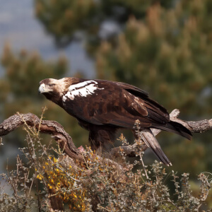 8e109174-4704-4b13-92dd-9ca79d661532