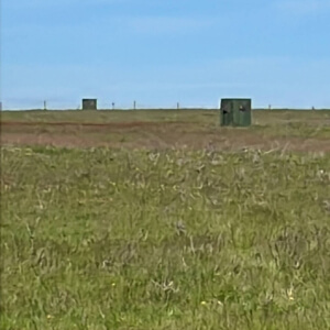 91233181-87d4-4087-ba1a-1e0d95df76be