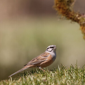 a933f107-2677-47d9-87e6-a806edbc7291