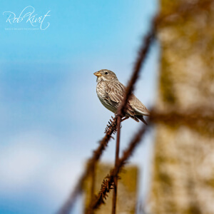 b017a7e7-26f4-422c-ba1b-2efed5928928