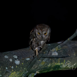 b6228ec8-7572-4a20-8697-642272599abd