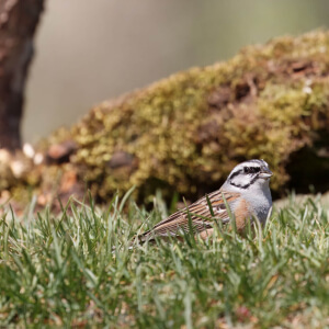 c48d522e-9db9-4ad2-89e1-c5a177f03e67