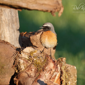 d5c7ebb6-8b76-40ff-869a-f6618878c654