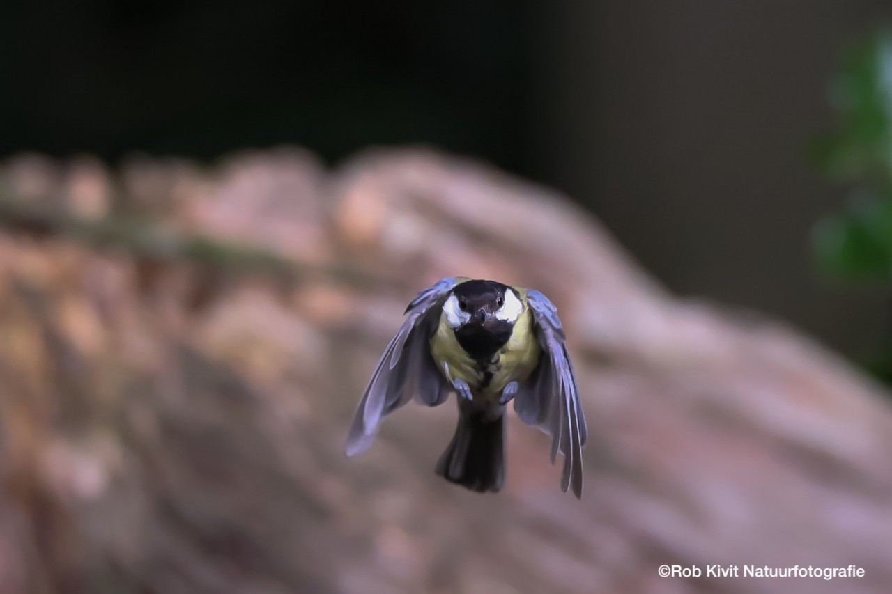 (HBN4) Hof van Twente, Delden