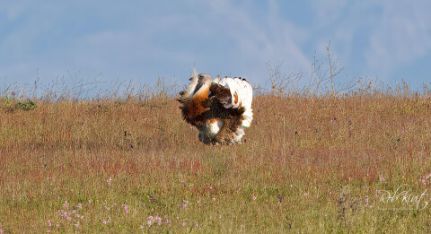 Fototrip Spanje April 2025