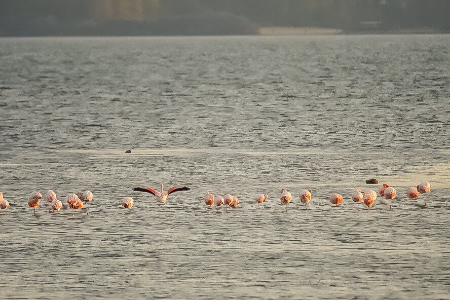 47547A54-AC79-4F19-9FB6-AB119BA9AEAC