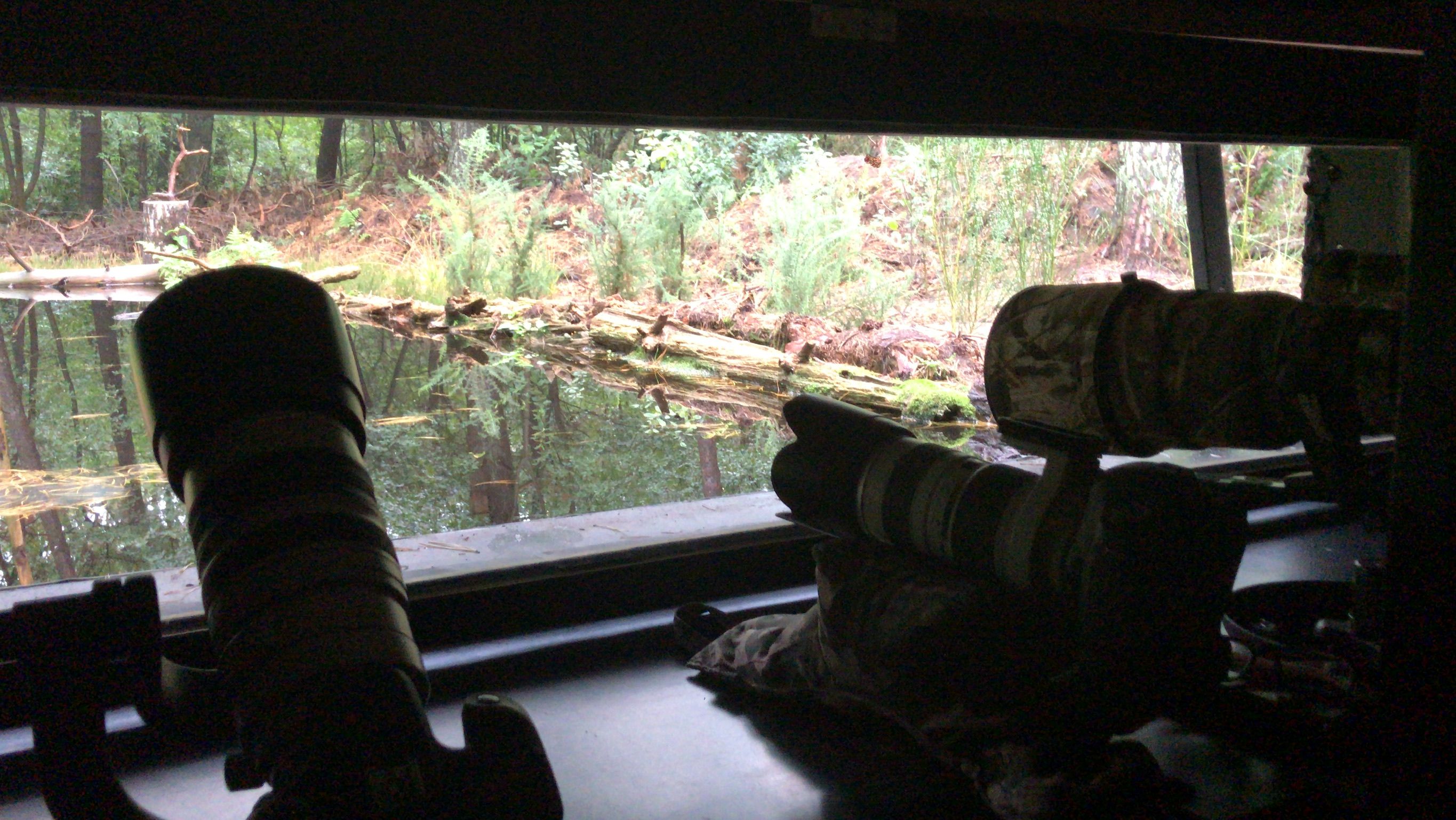 Hut 7 - Bos en Heide