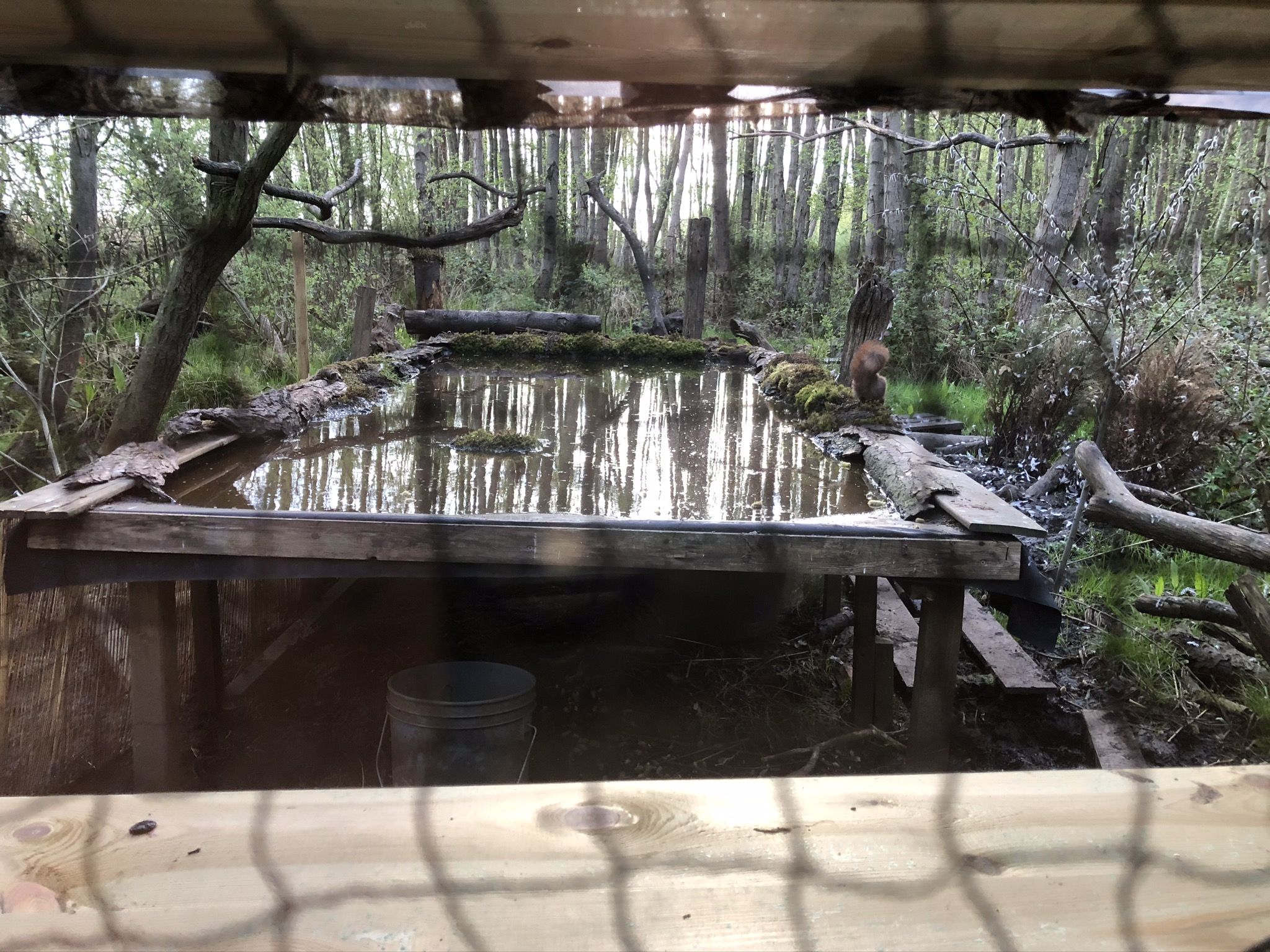 Hut 2 - DJHutfotografie