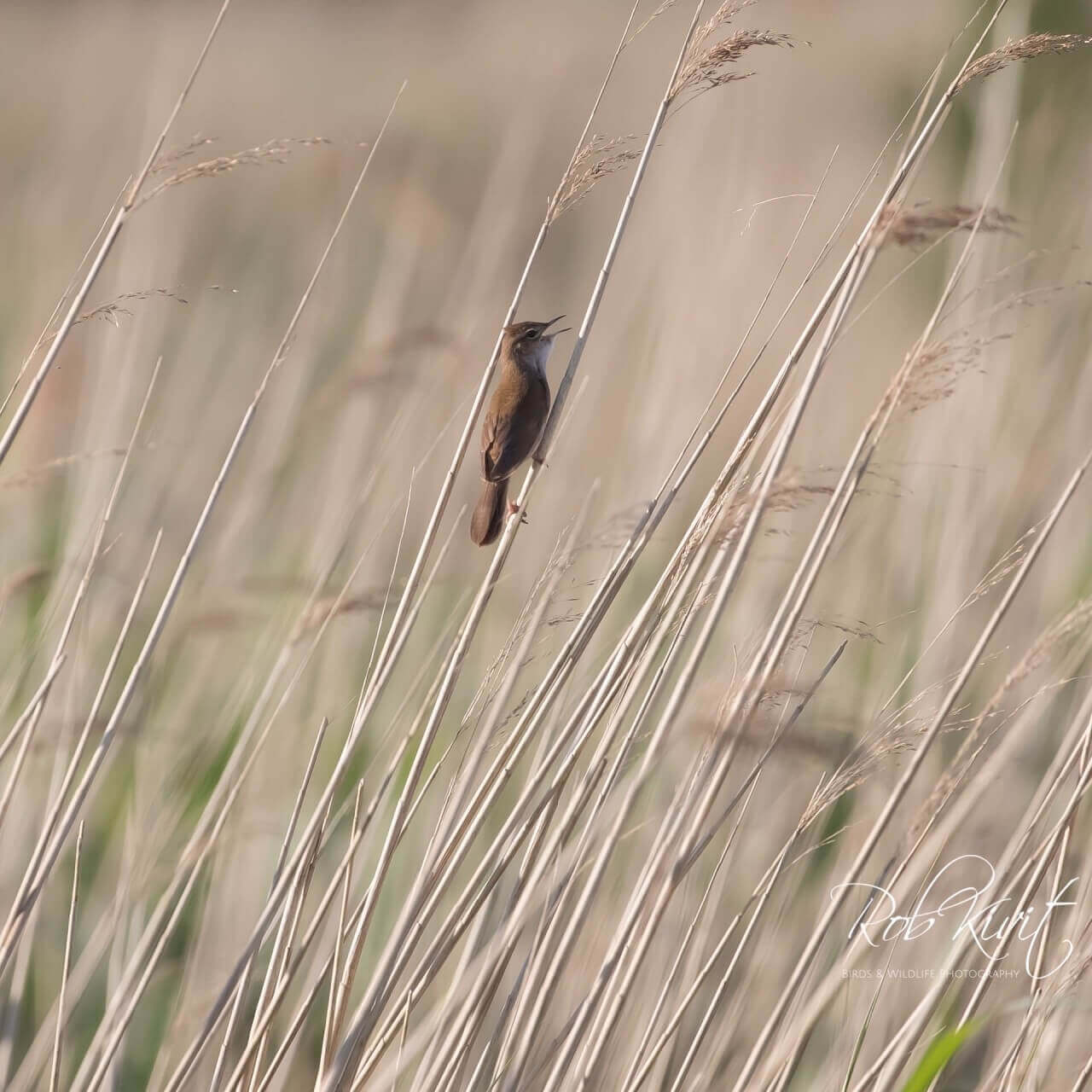 5804643A-1594-4EB5-AB78-BB521EBB8C14