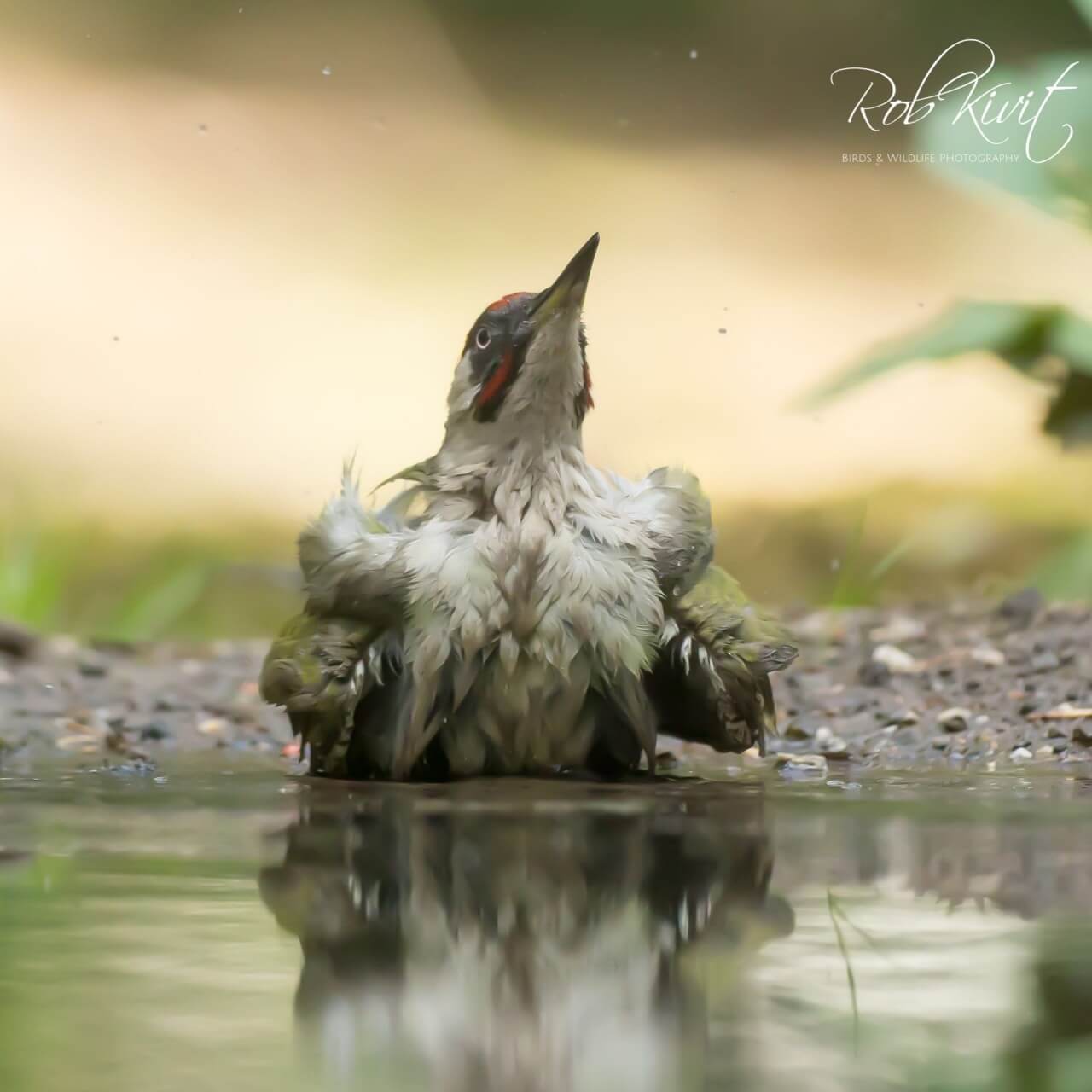 967F613E-453D-42F1-A916-2457B1BACF90