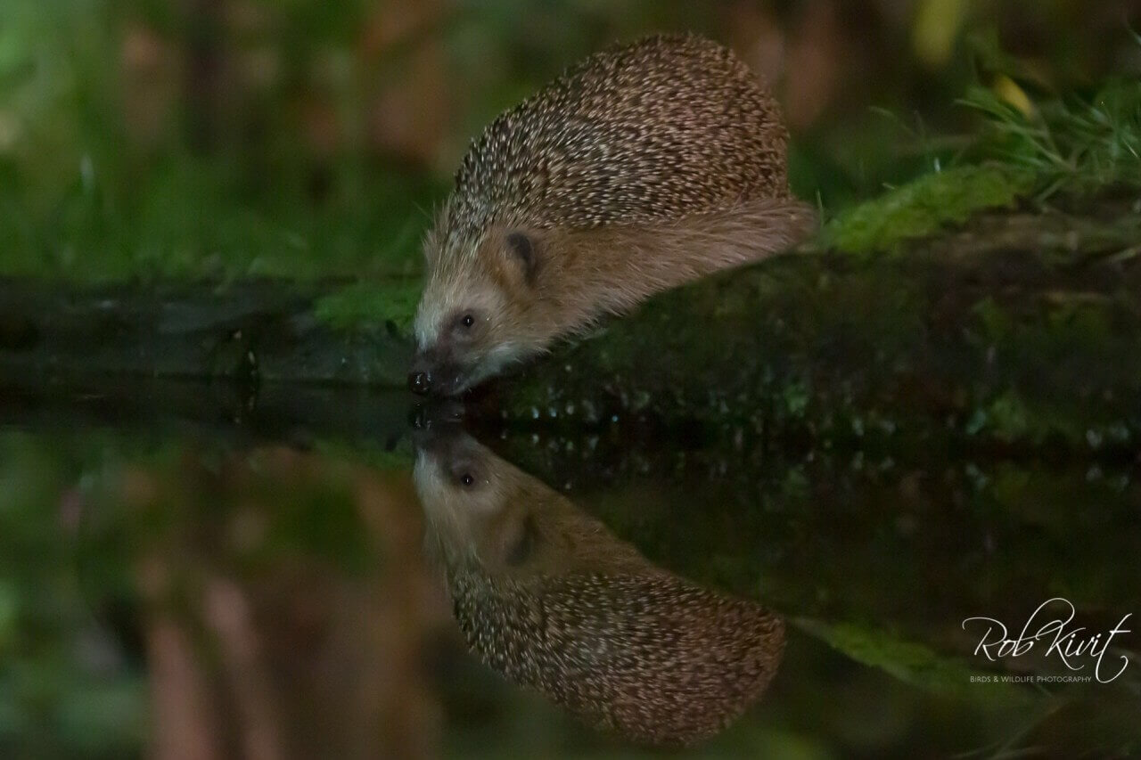 DAA3CA7E-8D39-49FF-9415-C260DA24A1A6