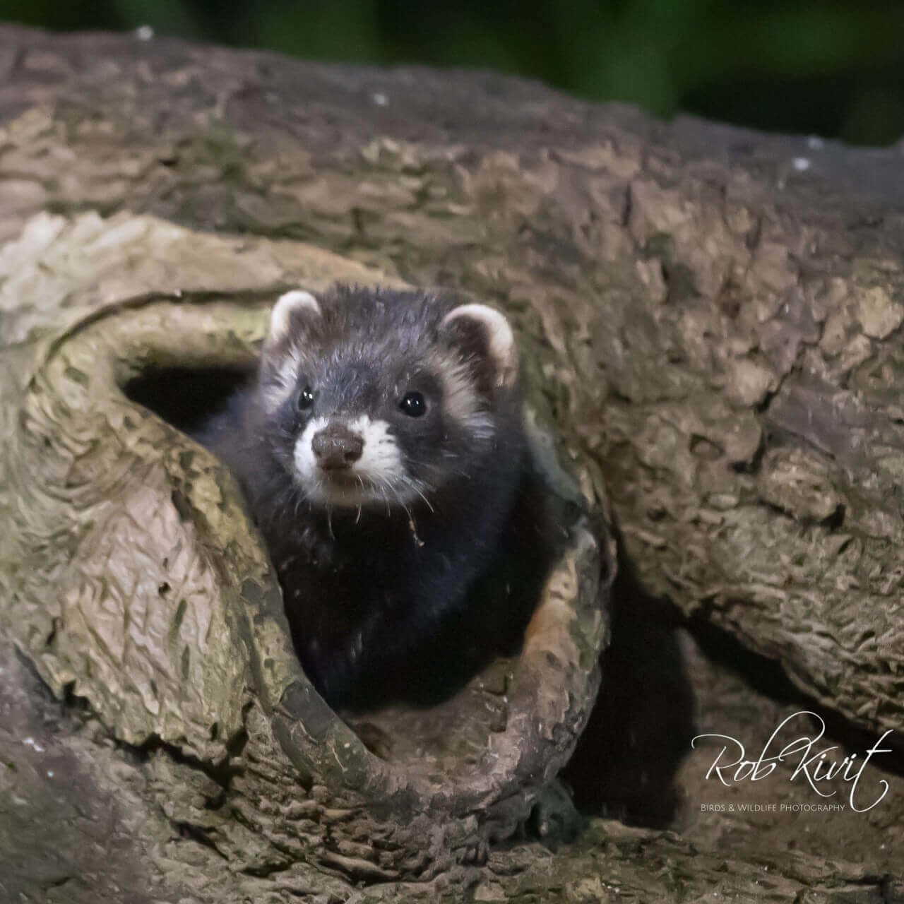 EEB42273-FC53-41A3-97EF-3FF391A685EE