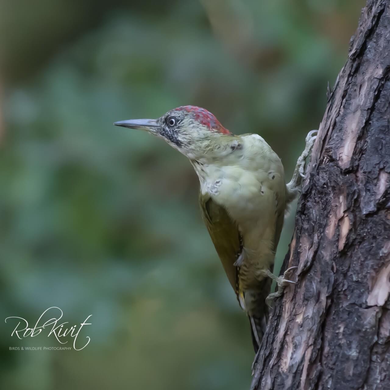 EC01D918-A950-484E-A958-893CF8F31026