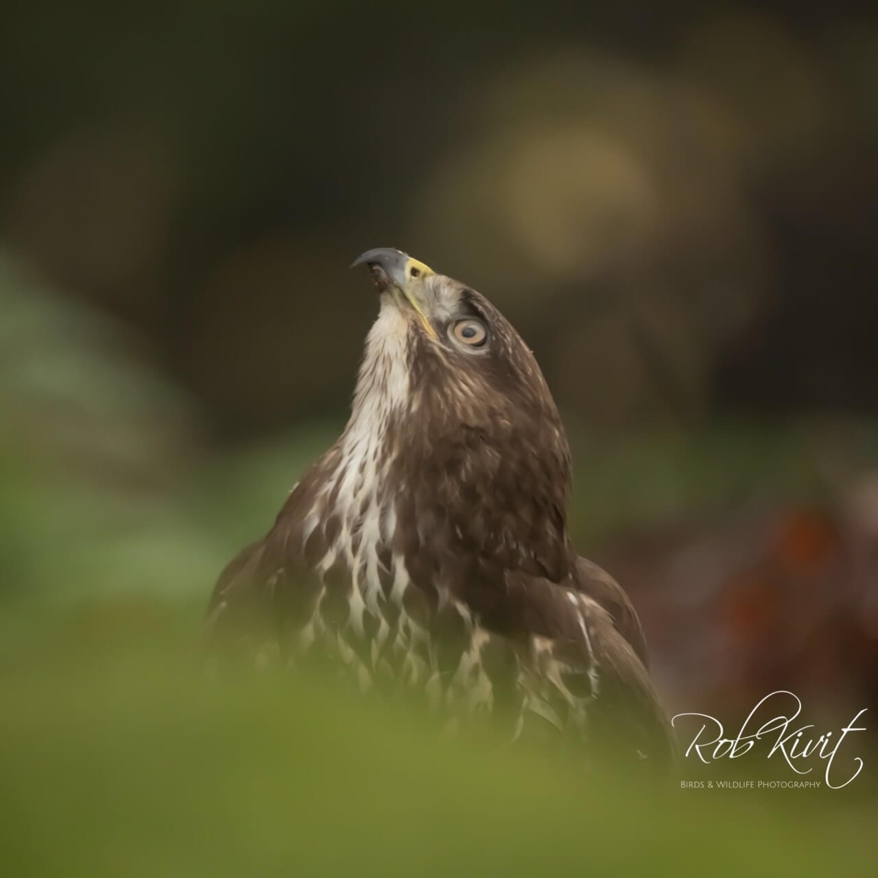 0D283FFE-69F5-4A13-8C99-E34B58188937