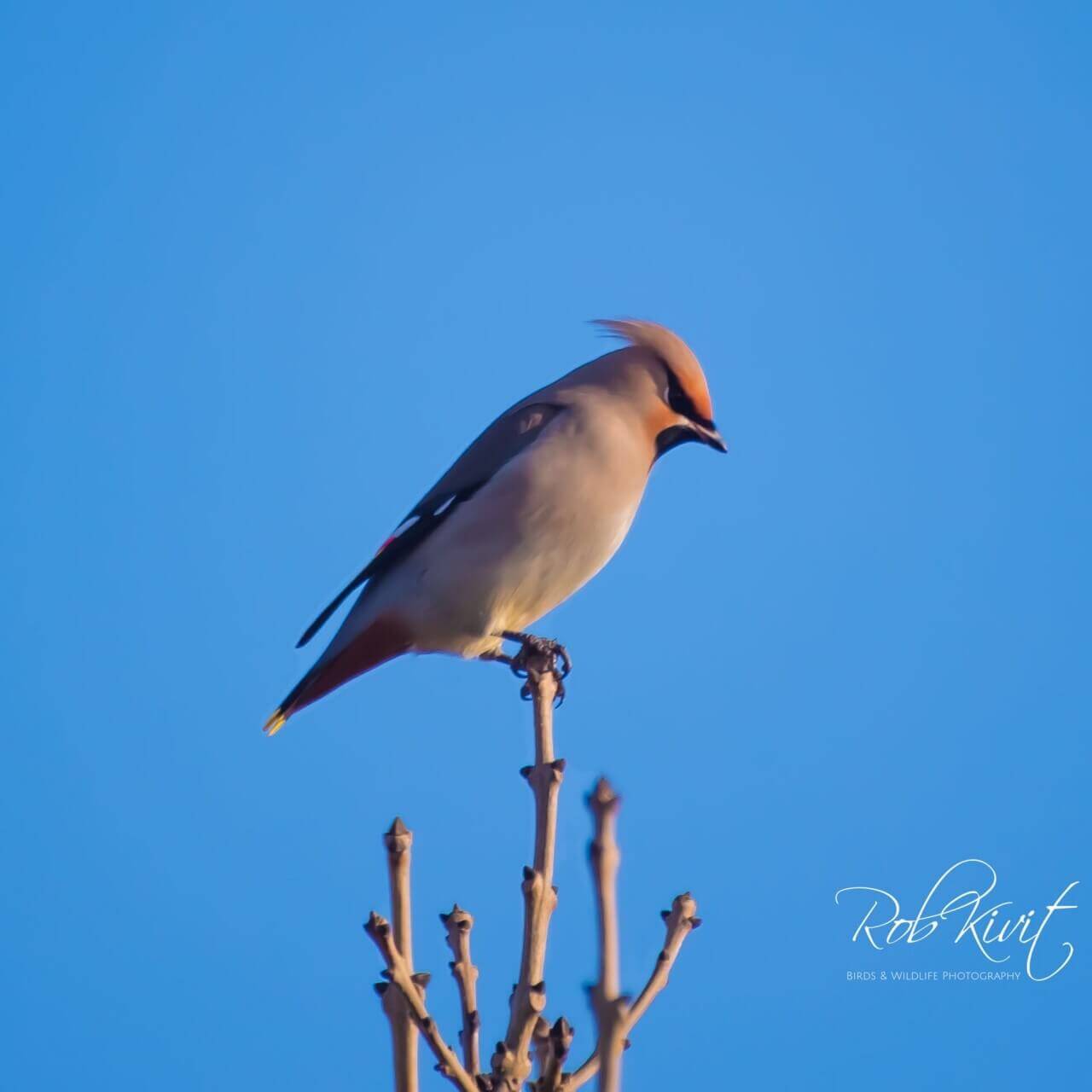 CD0F936C-3634-4F2E-9000-C30EB055C97E