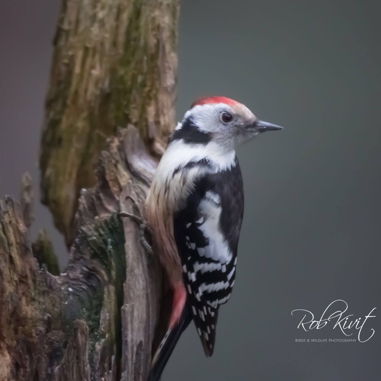 816DF373-7944-4D31-B063-45FAEED953F3