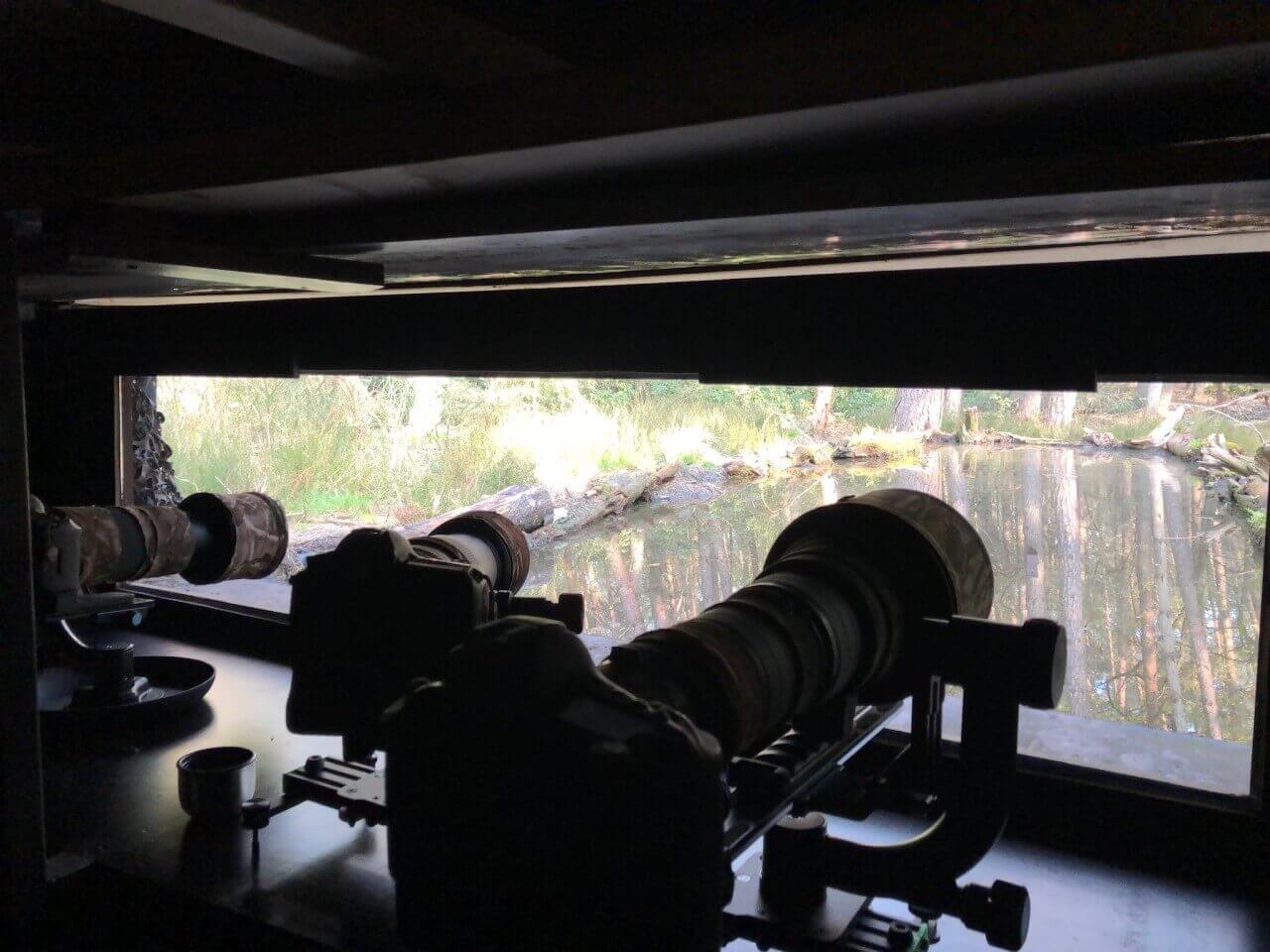 3A2AD5FF-CFB6-4EFA-AEB3-C4238E97EC68