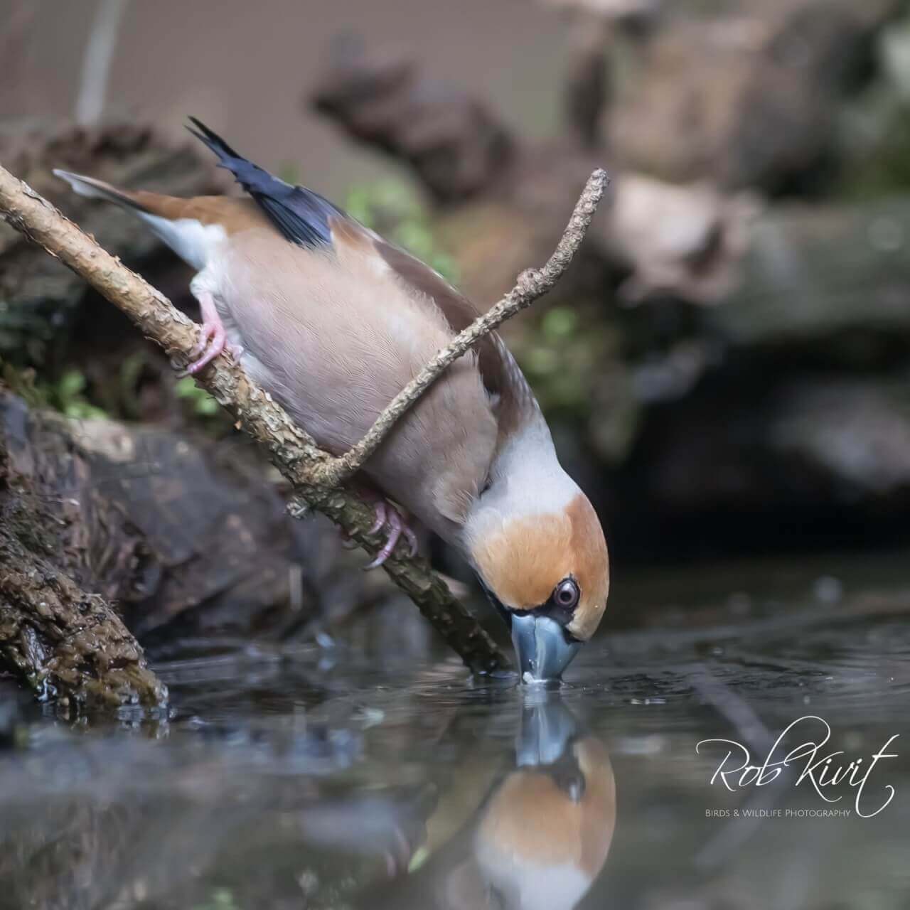 3E514859-1046-45CF-A057-E17938514901