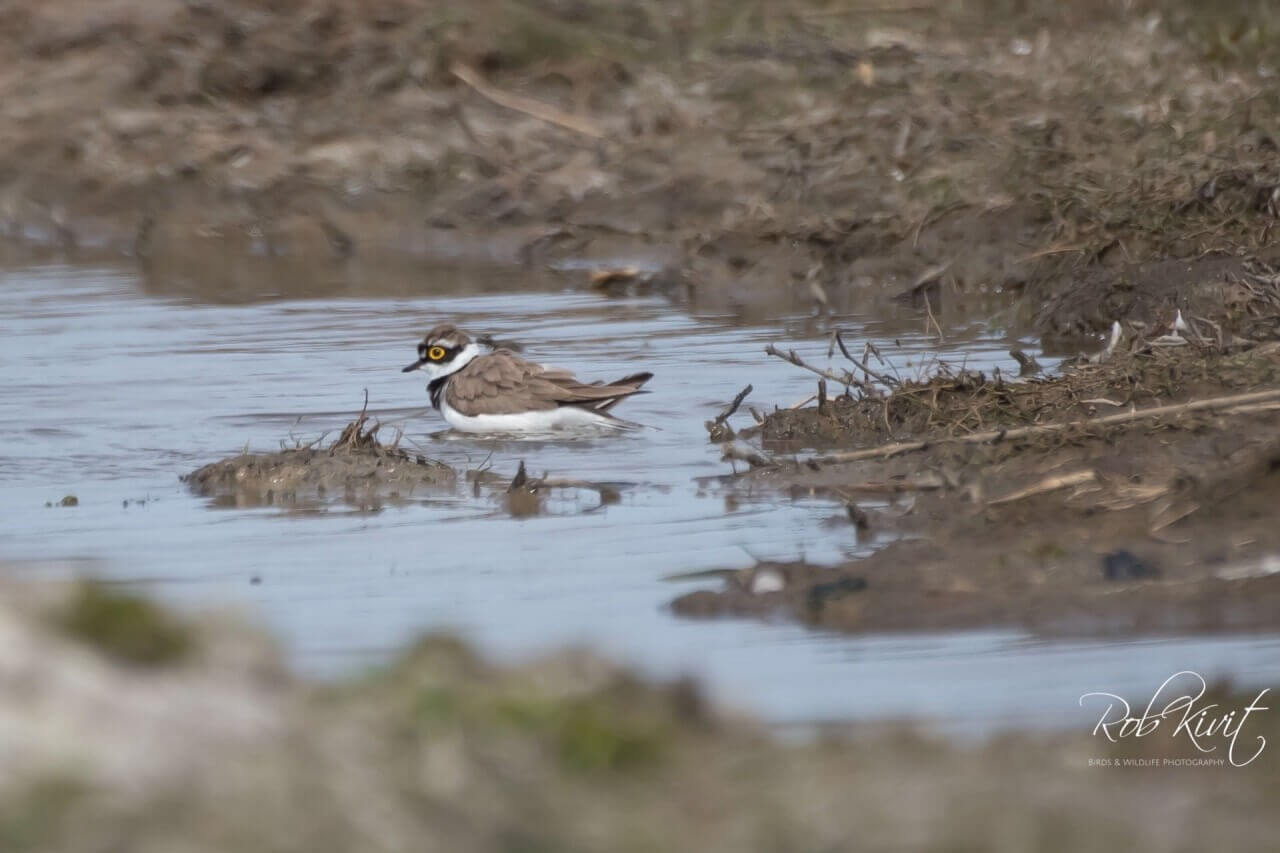 AD3C8E6A-7B2B-4B39-AAEC-FF81F8BCDE10