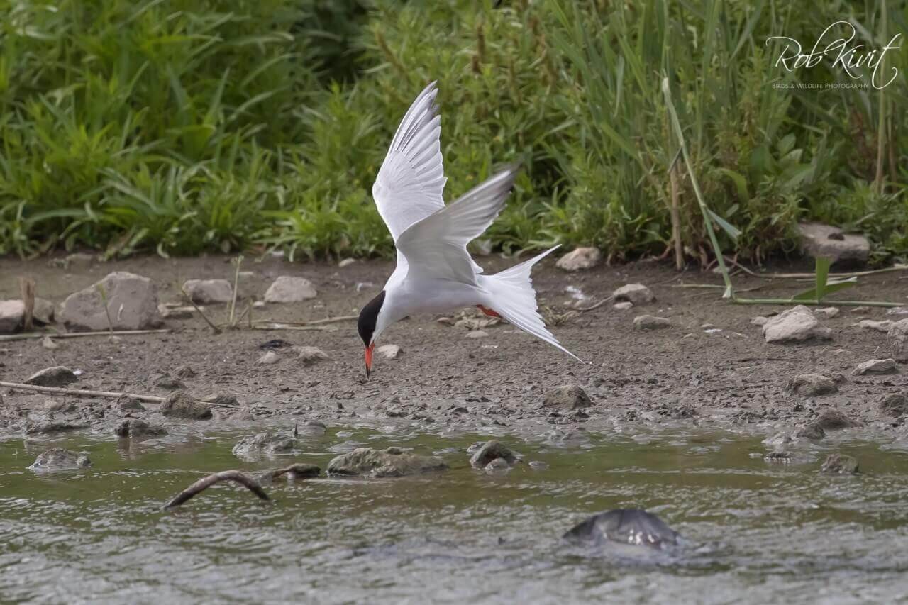 0EA6F81A-6761-453B-B08C-8C6DC943F402