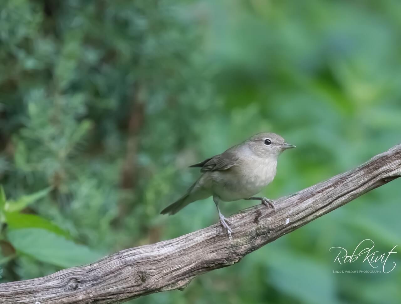 87586571-0E0E-499F-AB4E-D3C7DD3E23DB