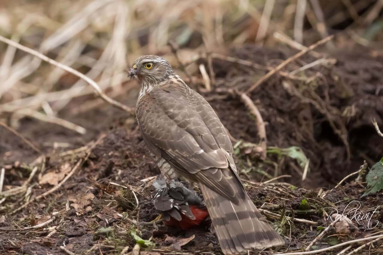 20220205-1348260F28E97F-C7F1-4626-96BC-3593822486DA