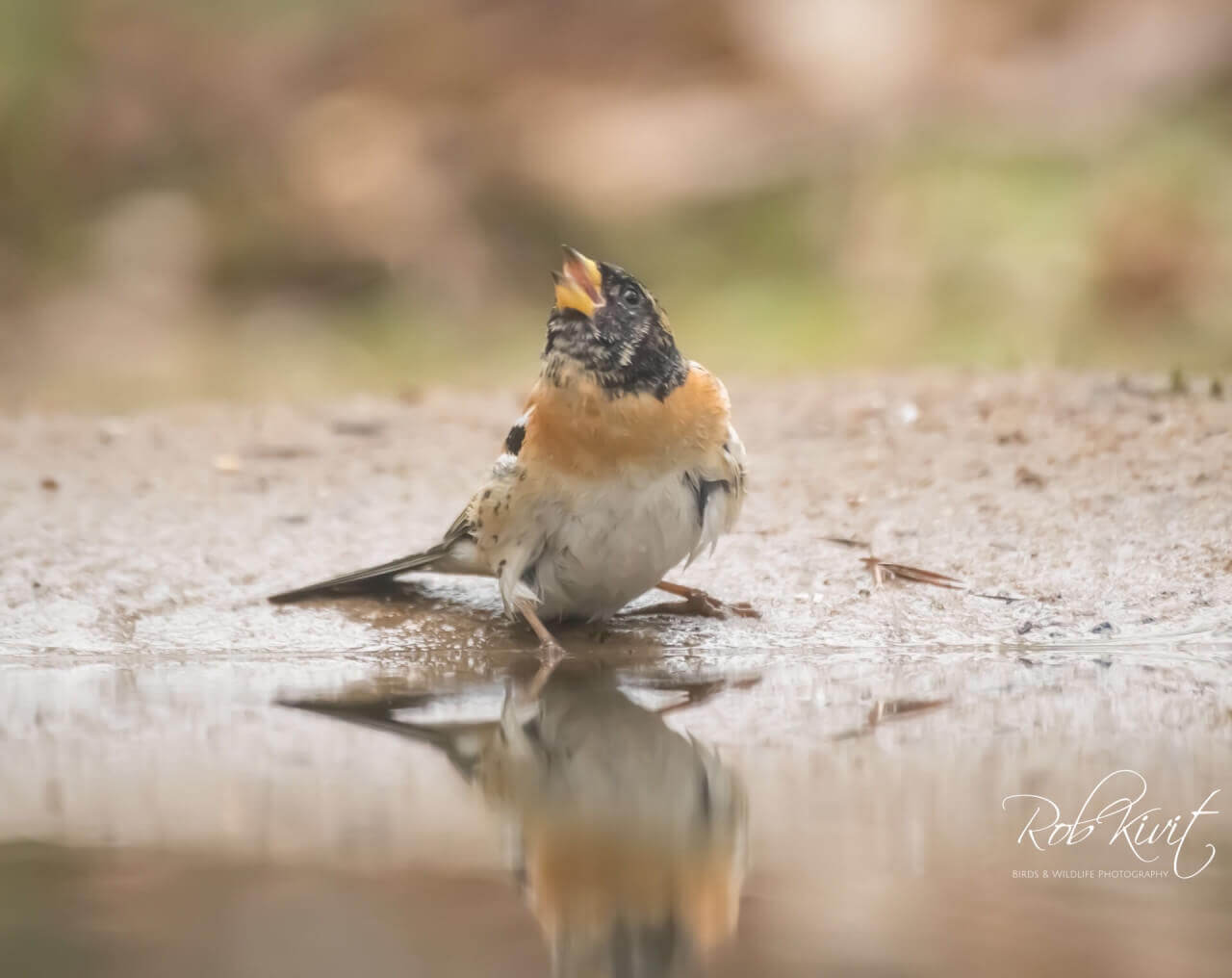 E93704FF-55AE-4934-99A6-C7521D28EC10