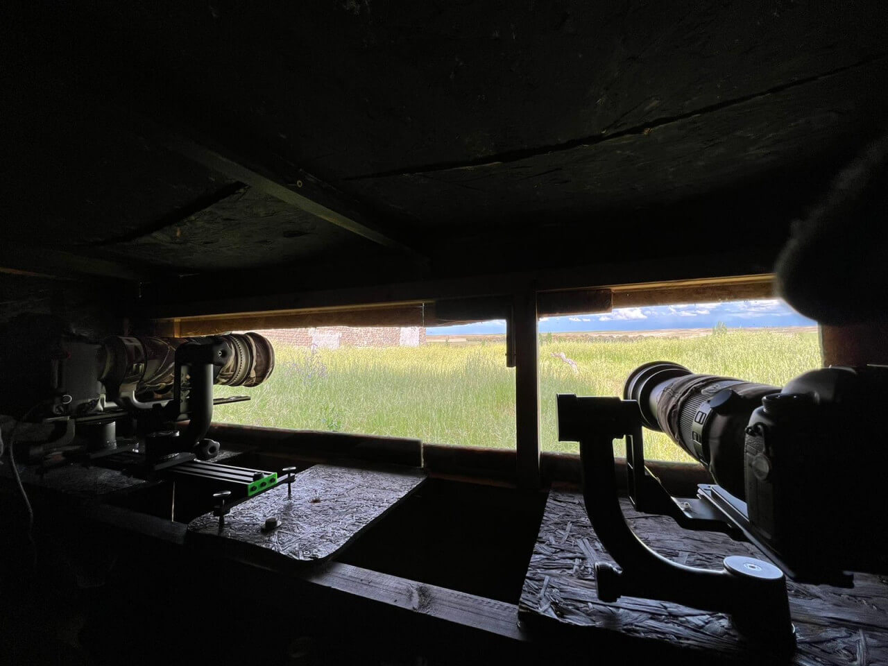 F19D8146-8E5E-438C-B30C-C399B475AEF3