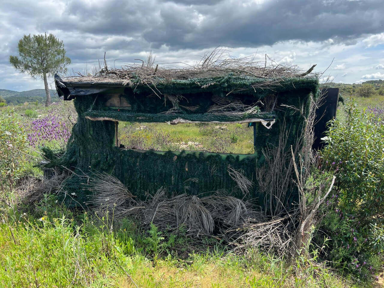 86C0E4FA-C3E8-49A2-96BE-353976F7E8EE