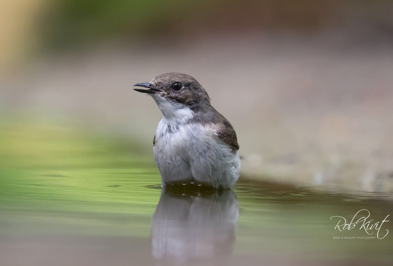 1F018453-2788-42EA-967B-65281EEB64EA