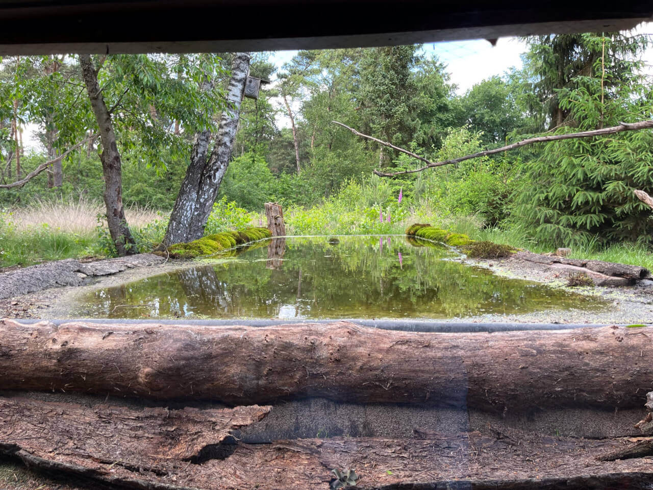 B381DDE5-EB1E-4E0E-A486-84EE3BA3385A