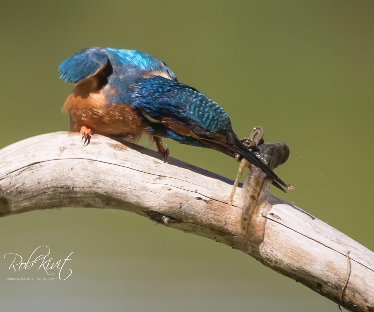 00BE7DD0-A35E-402E-8DCB-7B75AB2182E0