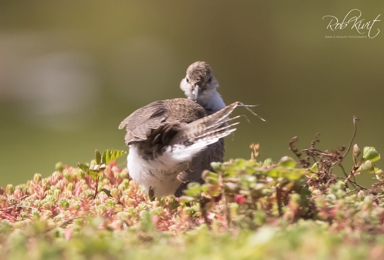 7F0A14AA-30EC-4B31-B01F-3D291796EE04