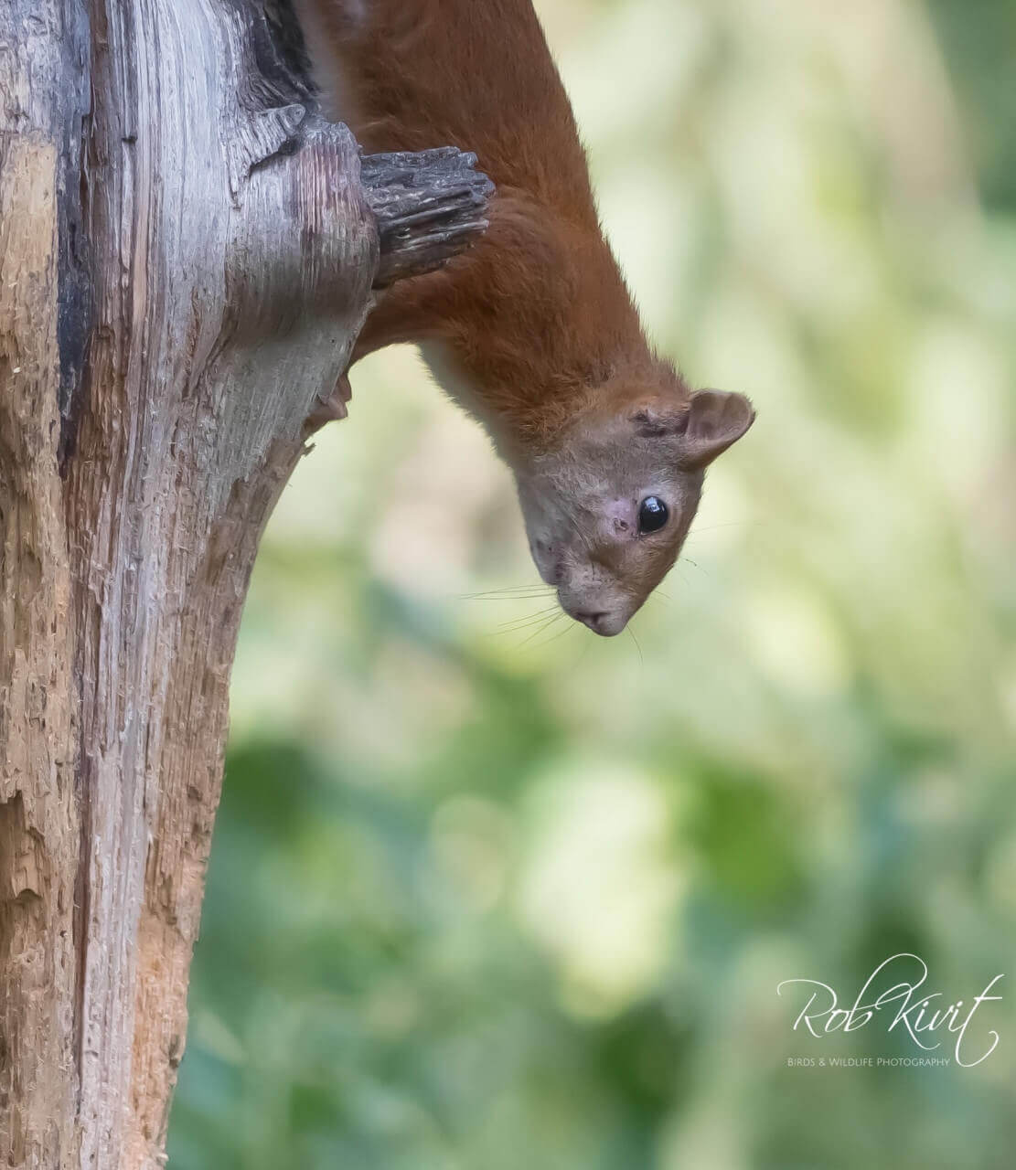 DAF573E4-D738-40A3-8B07-5954AD61856E