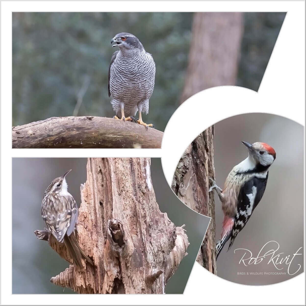 88A17B8A-1418-4D84-9156-E38F478937E7