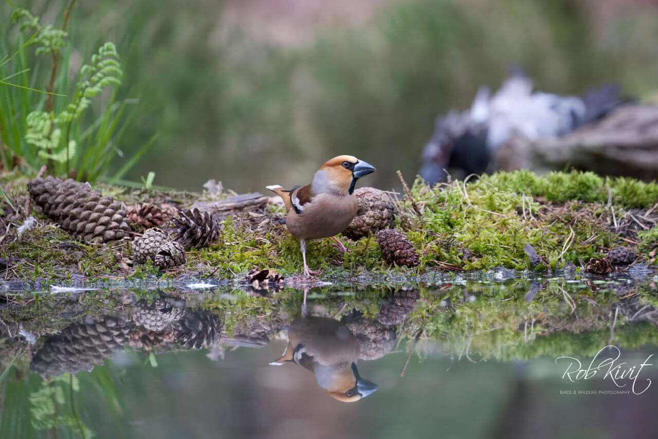 61E01EE4-88C8-4FB0-B1C9-DEC52892C18E